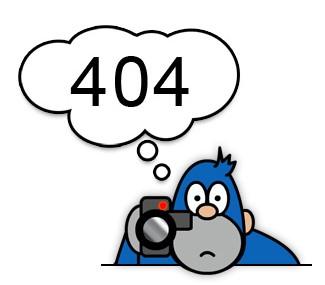 404 not found什么意思，404错误页面有什么用-第1张图片-王尘宇