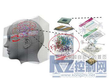 类脑（受脑启发的）与图灵机模型-第1张图片-王尘宇